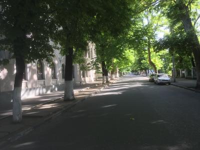 Прикрепленное изображение: IMG_9118.jpeg